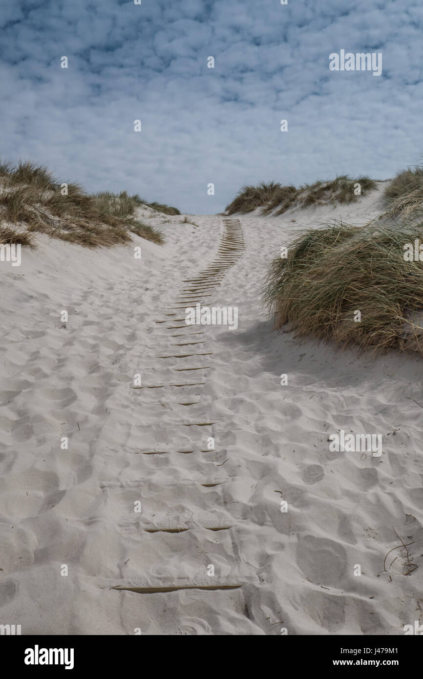 Sentier des dunes avec à la côte de la mer du Nord en danois Henne Banque D'Images