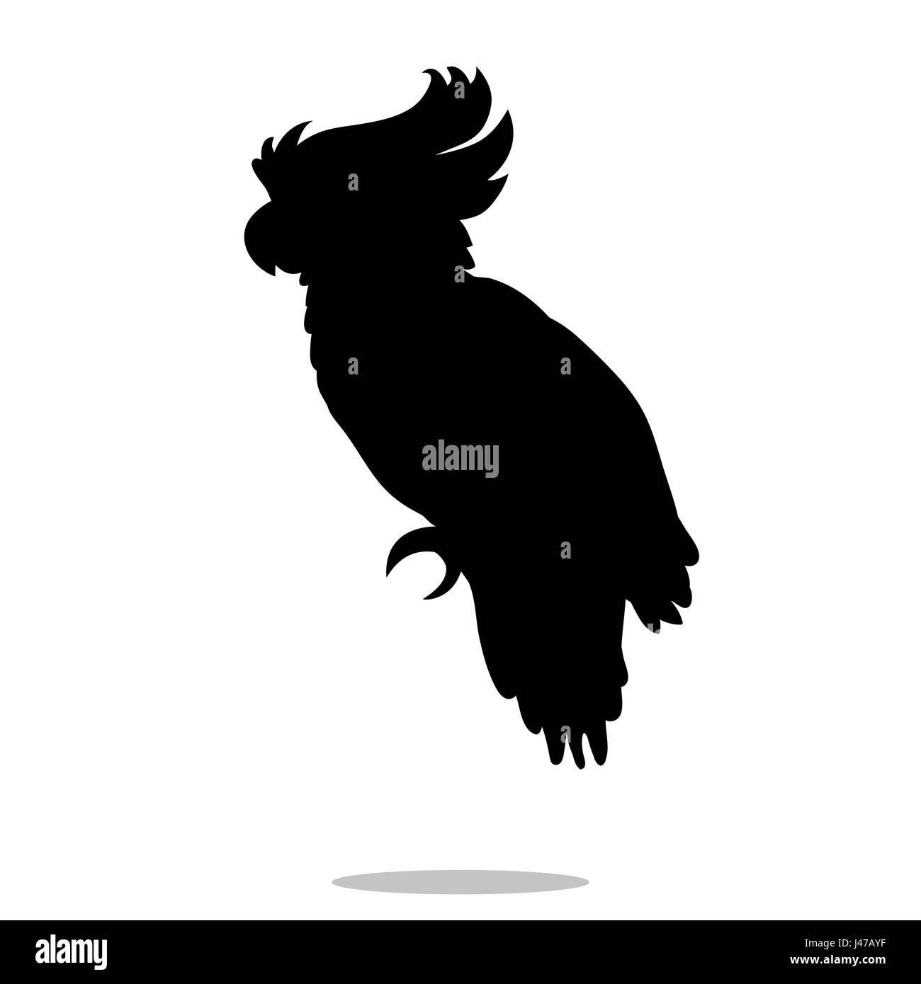 Animal oiseau perroquet animal silhouette noire Illustration de Vecteur