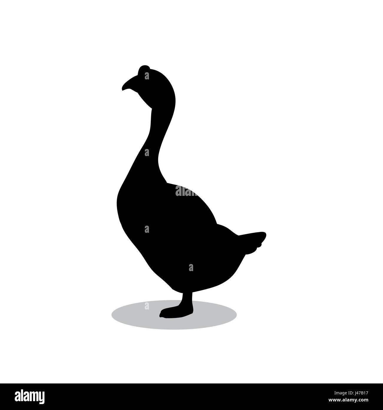 Oiseau oie animal silhouette noire Illustration de Vecteur