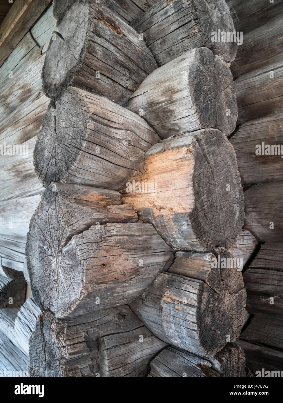La plus ancienne église de la Trinité en bois construit en 1551 sur l'île de Sviyazhsk au confluent de la Volga et Sviyaga les rivières. Banque D'Images