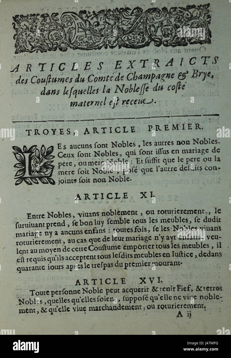 Il s'agit d'une référence à l'association luxueuse du champagne nobles et du fromage Brie, représentant une expérience culinaire indulgente. Les deux produits sont connus pour leur haute qualité, souvent associés à des repas et des célébrations sophistiqués. Banque D'Images
