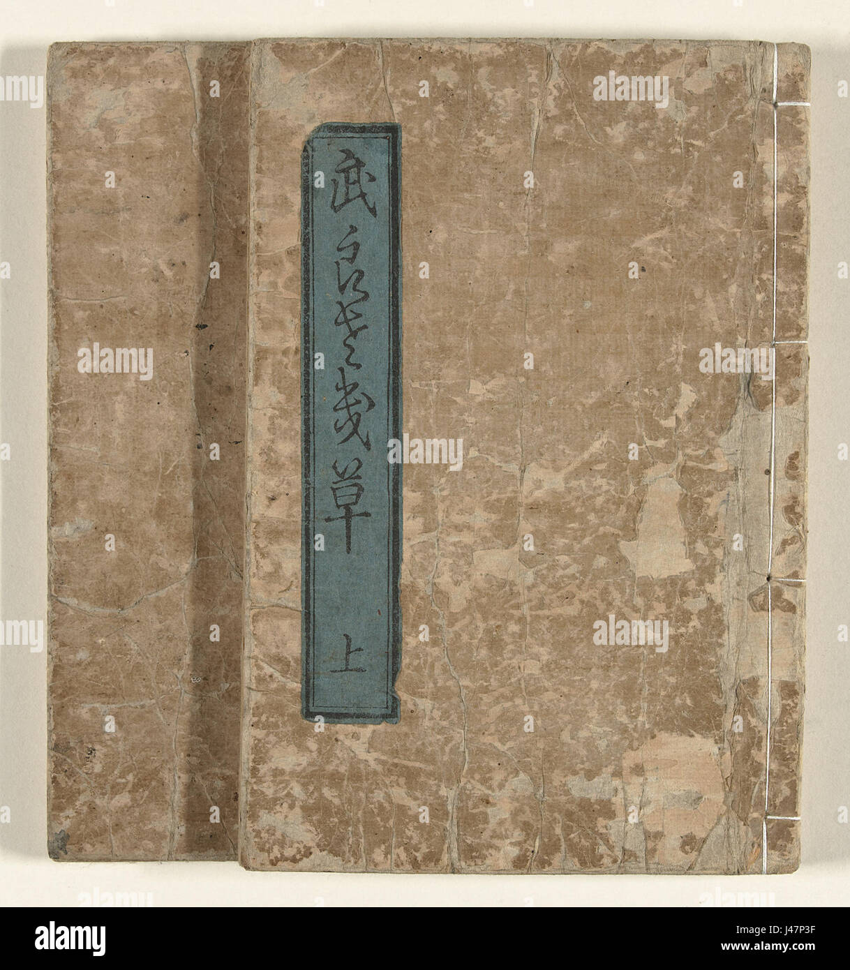'Paars gras' est un tableau conservé au Rijksmuseum d'Amsterdam. Il représente l'herbe violette, un exemple de la maîtrise hollandaise en botanique aménagée Le travail est important pour sa représentation détaillée de la vie végétale et de la beauté naturelle. Banque D'Images