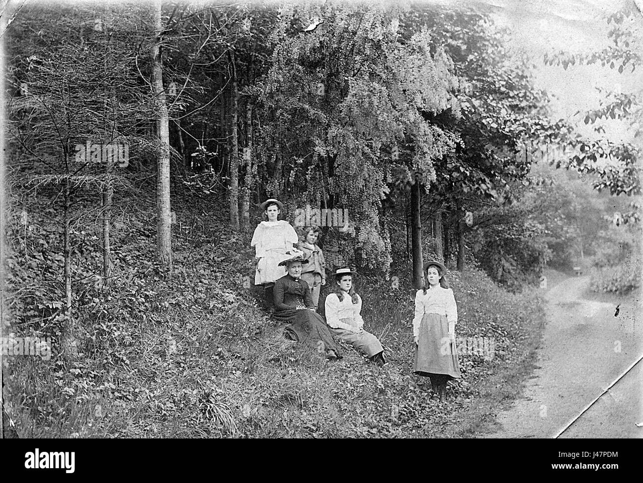 Dalmore House, situé en Écosse, est situé dans un parc pittoresque et a été historiquement associé à la famille Montgomery. La maison et ses terrains sont importants pour leur valeur architecturale et historique. Banque D'Images