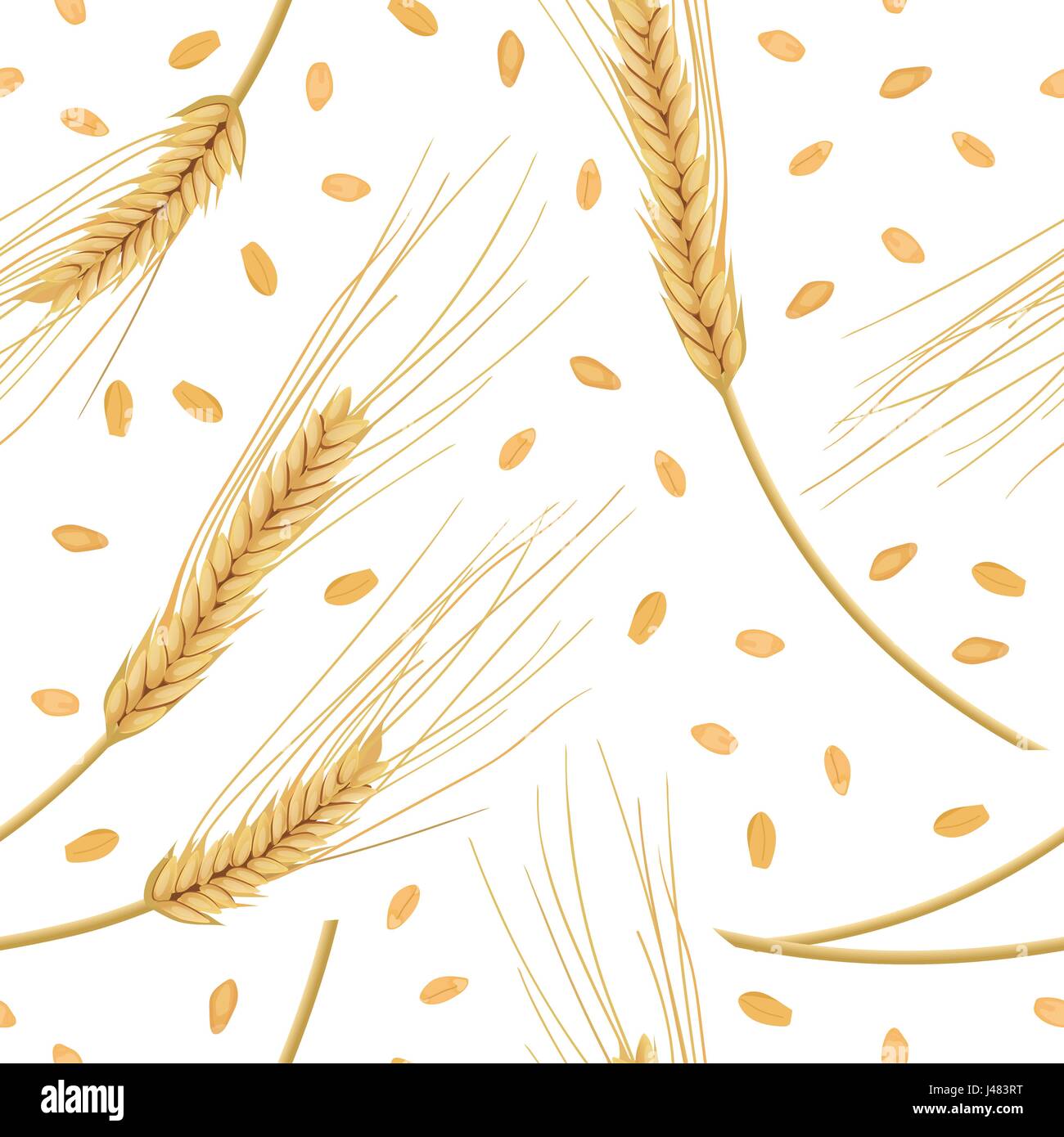 Les épis de blé isolé sur fond blanc. motif transparent vecteur. Golden Spike et grains Illustration de Vecteur