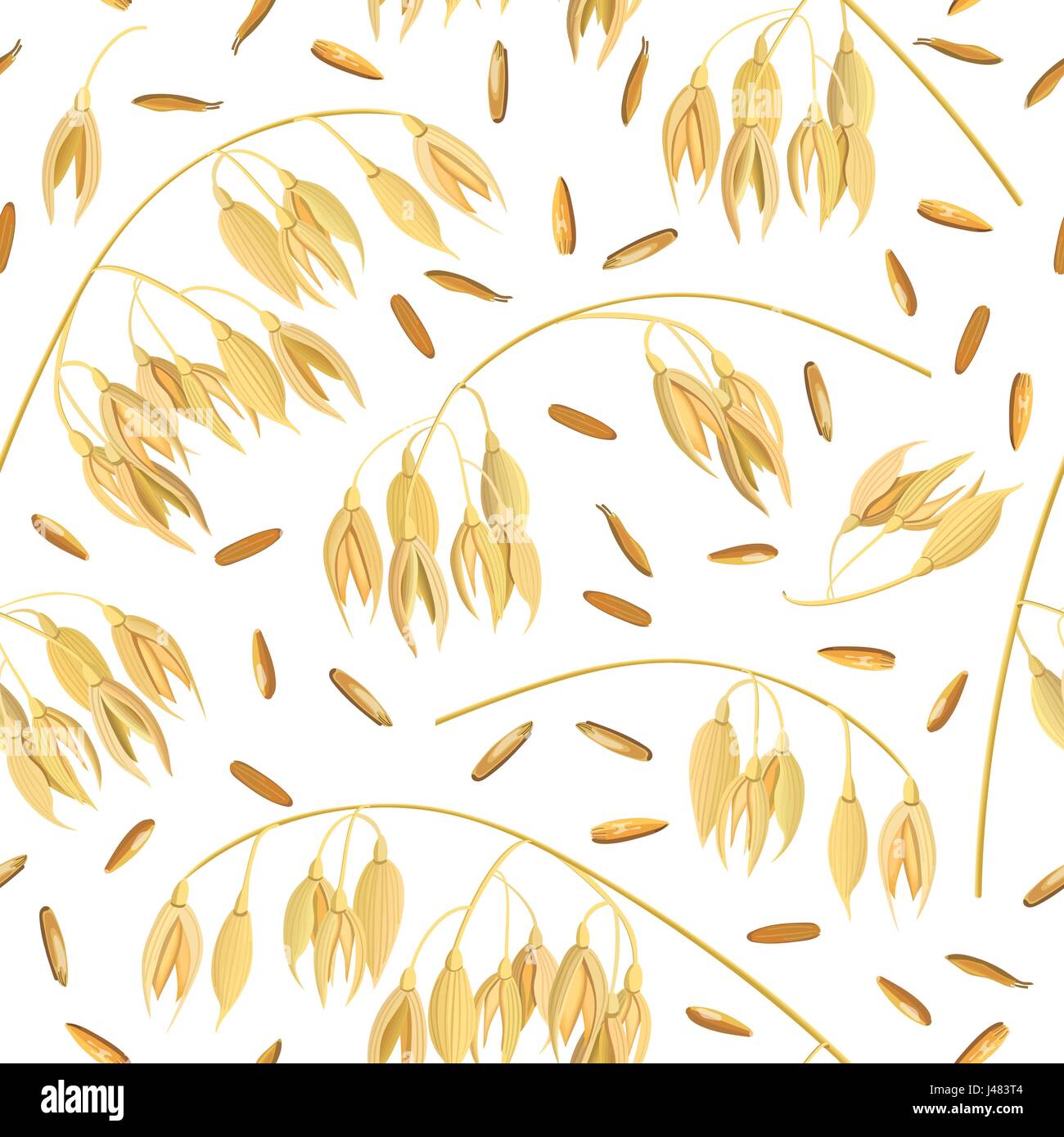 Les oreilles de l'avoine et de son de céréales. seamless vector pattern. Golden Spike et le maïs Illustration de Vecteur
