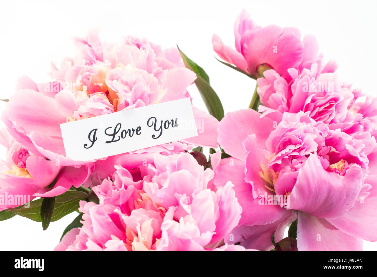 Je t'aime Carte avec bouquet de pivoines rose sur fond blanc. Banque D'Images