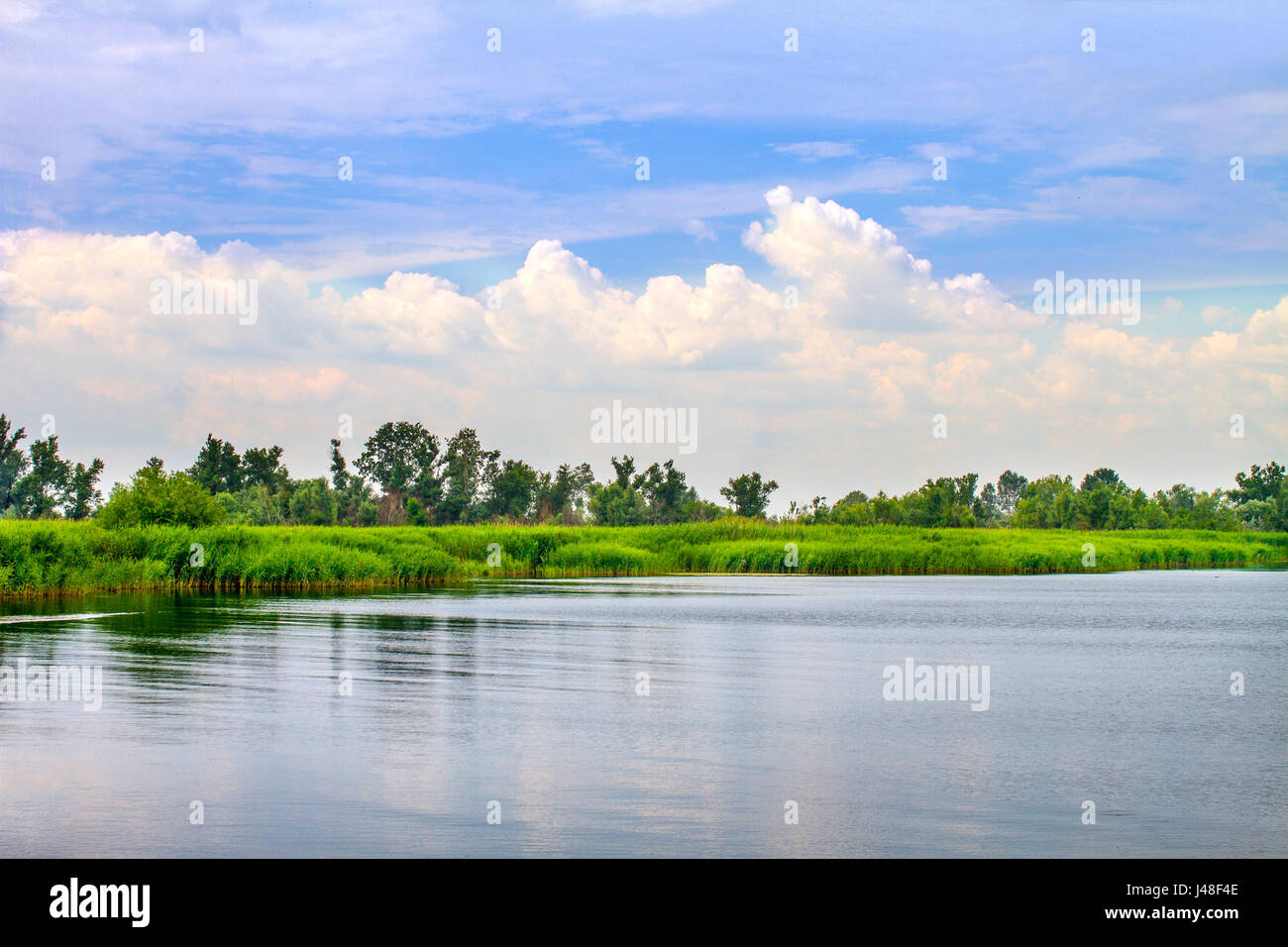 Un aperçu de la rivière paysage de roseaux et les tiges Banque D'Images