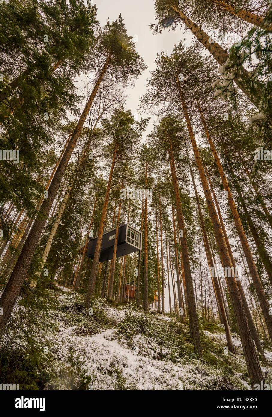 Accommodation dans les bois, connu sous le nom de cabane à l'arbre Hôtel en Laponie, Suède Banque D'Images