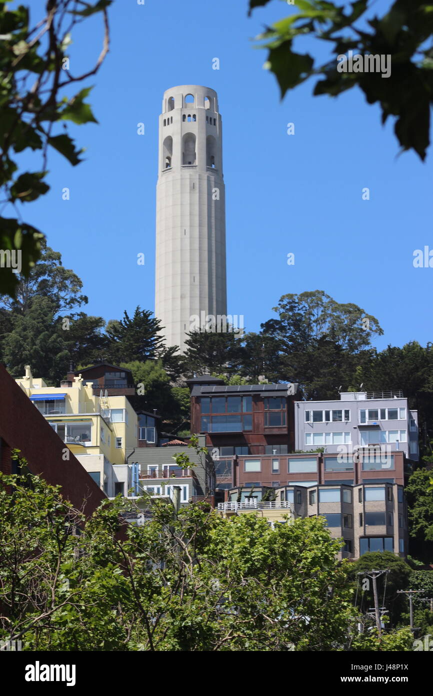 La Coit Tower, construit 1933, Telegraph Hill, San Francisco Banque D'Images
