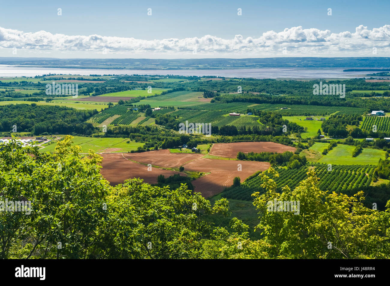 Vue du belvédère de Blomidon montrant les terres agricoles, vallée de l'Annapolis, Nouvelle-Écosse, Canada Banque D'Images