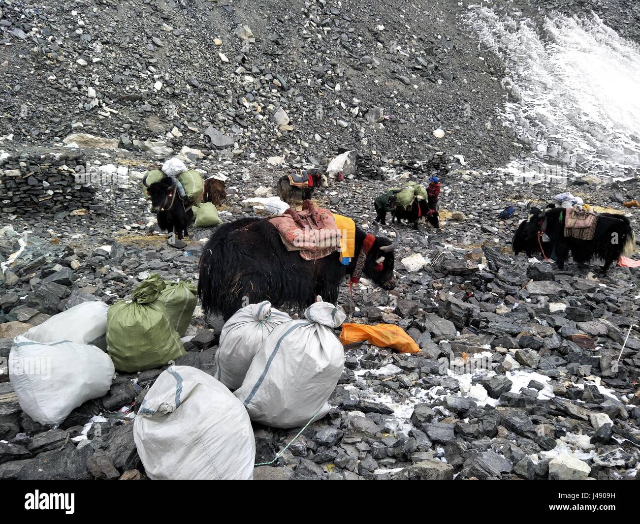 Lhassa. 8 mai, 2017. Les gens recueillir des déchets dans le versant nord du Mont Qomolangma dans le sud-ouest de la Chine, région autonome du Tibet, le 8 mai 2017. Les neuf jours de la campagne de nettoyage a débuté le 6 mai, le ciblage sur les campings à des altitudes comprises entre 5 200 et 6 500 mètres. Les déchets sont principalement constitués de bouteilles d'oxygène, bidons, bouteilles, plastiques, rejeté des tentes et des cordes d'escalade laissés par les alpinistes. Credit : Awang Zhaxi/Xinhua/Alamy Live News Banque D'Images