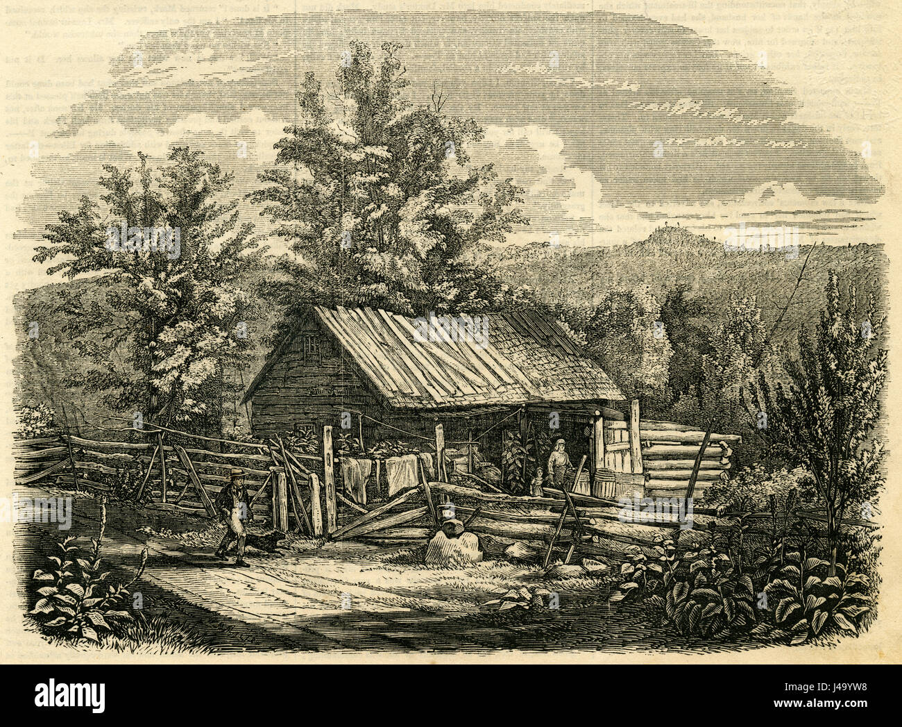 1854 Antique gravure, chalet, à proximité de Haye le Lake George, New York. Haye est une ville dans le nord-est de Warren County, New York, United States situé sur le pittoresque lac George. SOURCE : gravure originale. Banque D'Images