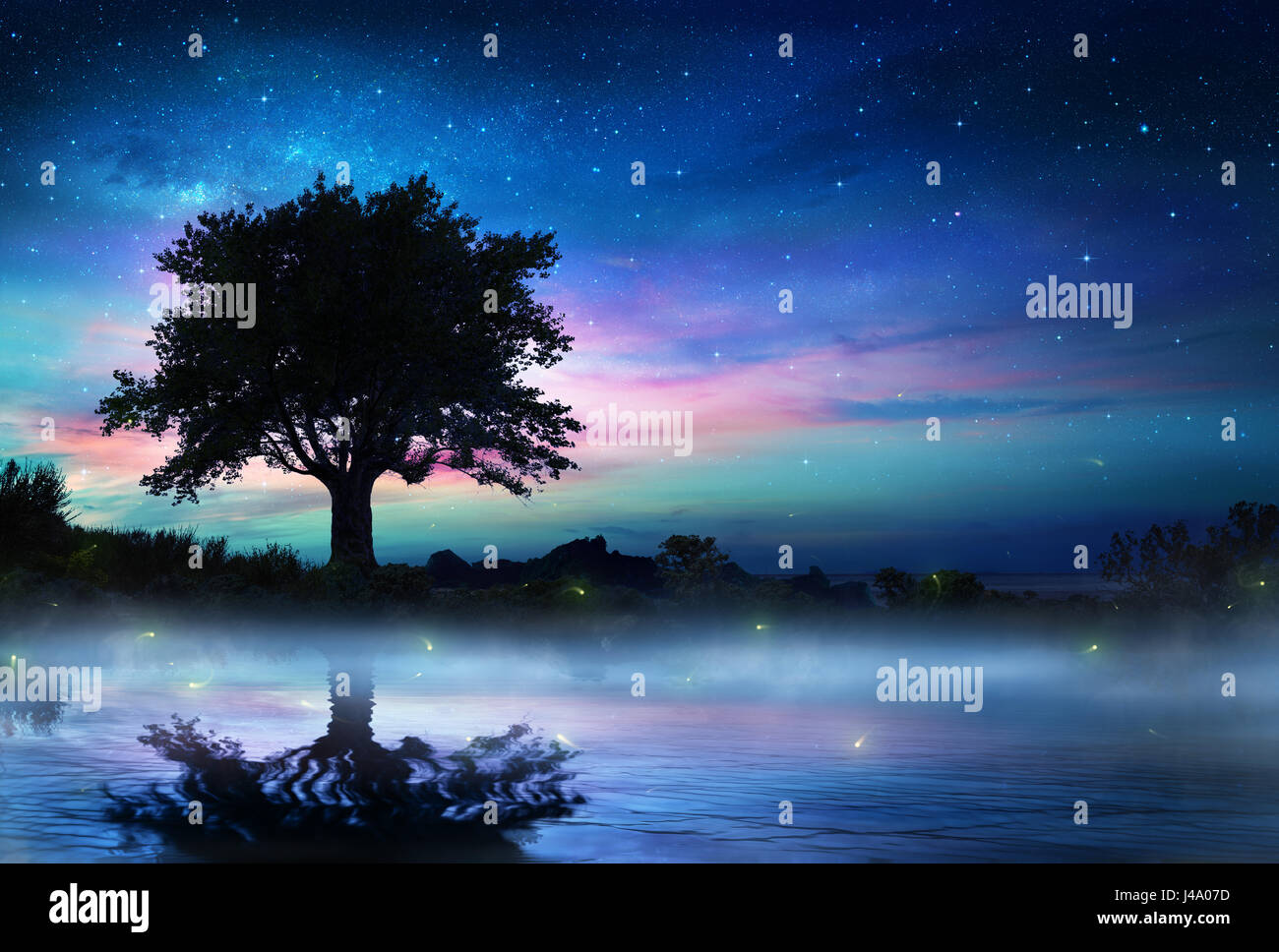 Nuit étoilée avec Lonely Tree Banque D'Images