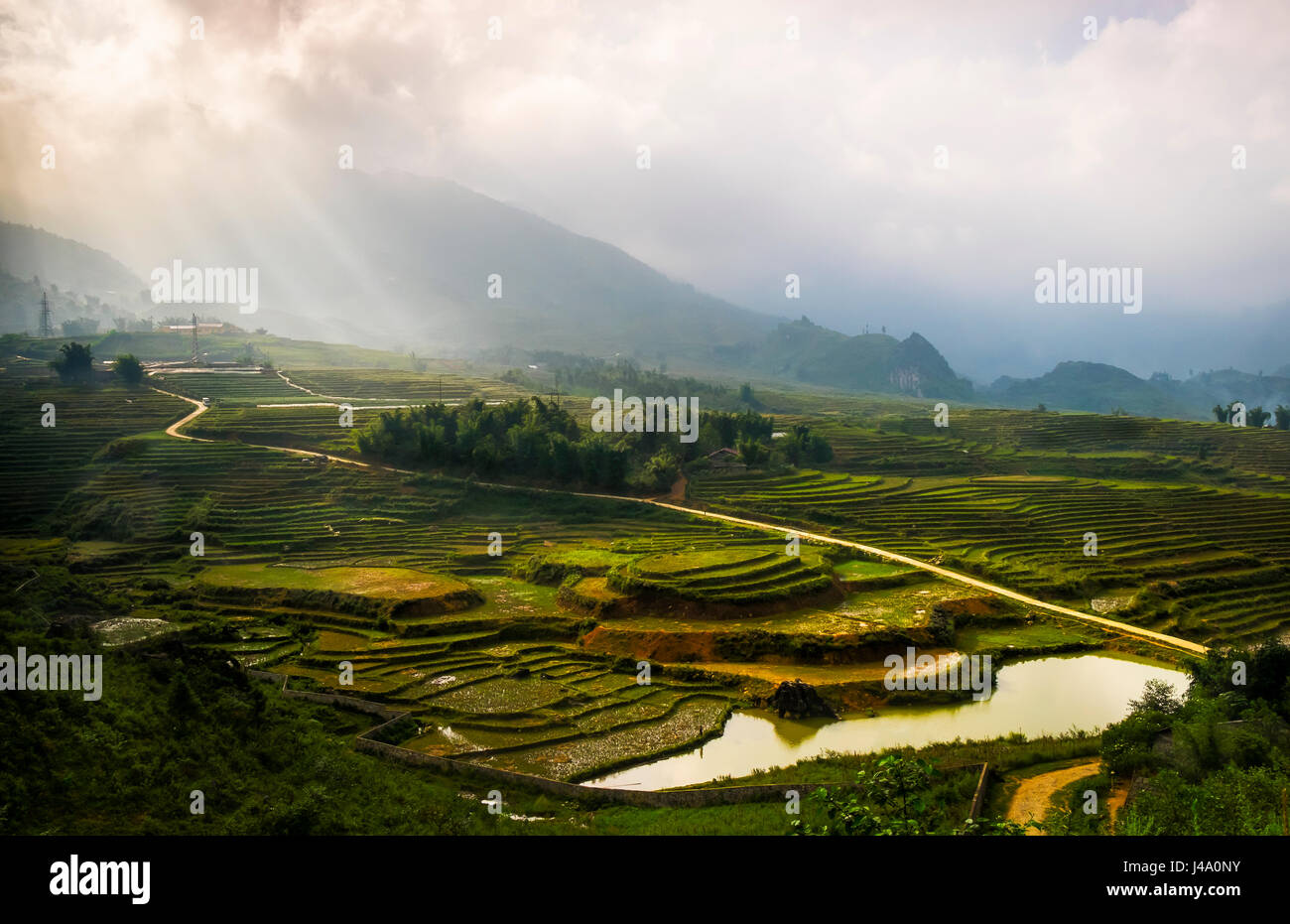 SAPA, Vietnam - CIRCA SEPTEMBRE 2014 : Avis de riz typique paysage dans SAPA, Vietnam du Nord. Banque D'Images