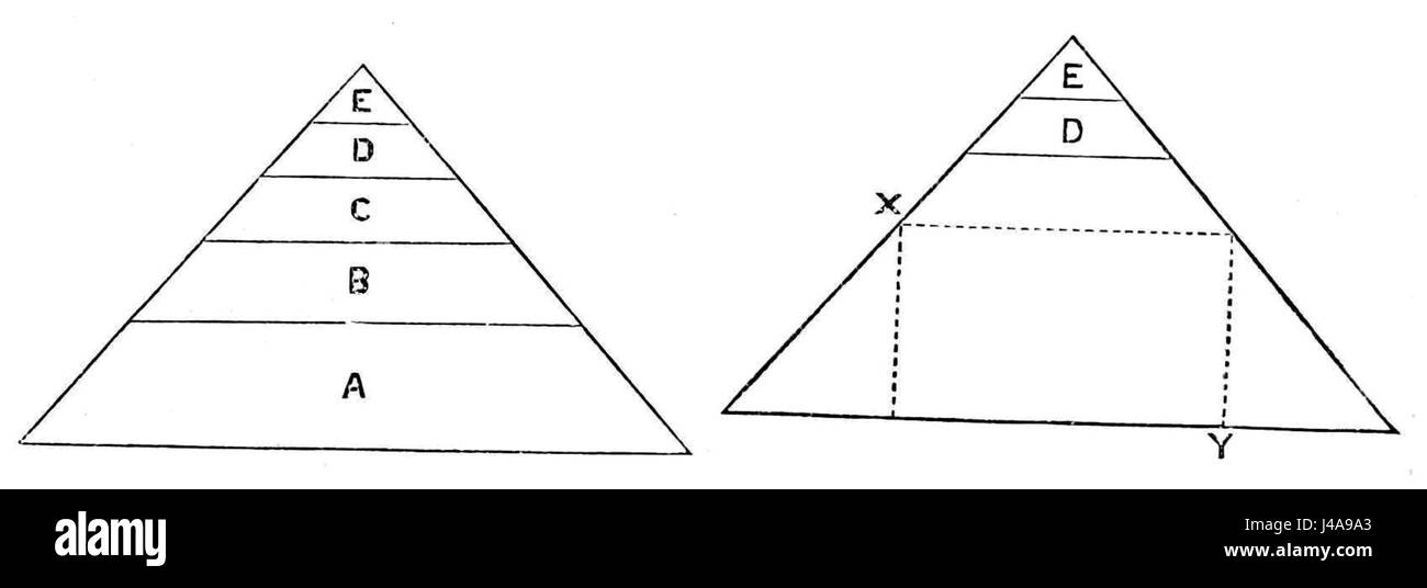 Cette illustration tirée de « PSM V27 D047 » illustre la relation entre l'éducation et la croissance économique, en soulignant le rôle de l'éducation dans la promotion du développement sociétal et de la prospérité économique. Il présente des graphiques ou des visualisations de la façon dont les systèmes éducatifs impactent les économies nationales. Banque D'Images