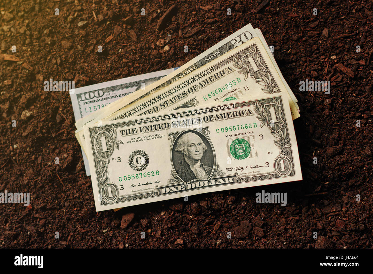 USA billets dollar cash money en sol fertile, ce revenu dans l'agriculture et de l'activité agricole comme les cultures Banque D'Images