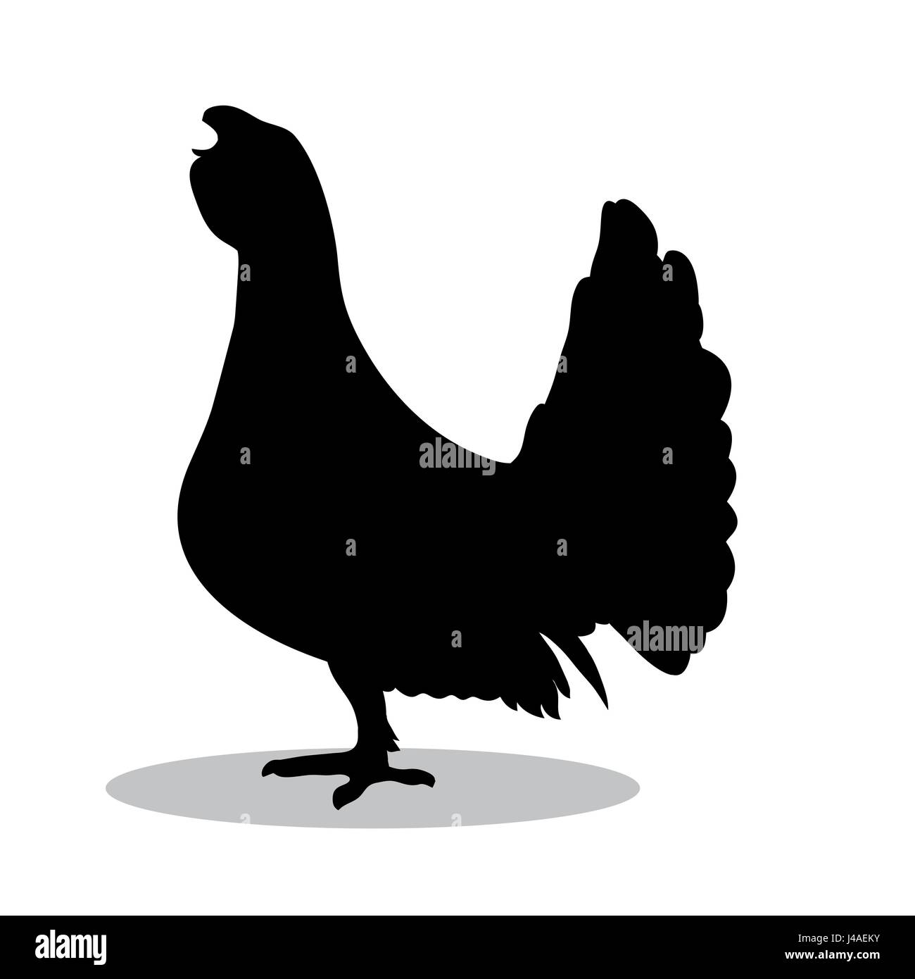 Les grands tétras oiseau noir animal silhouette Illustration de Vecteur