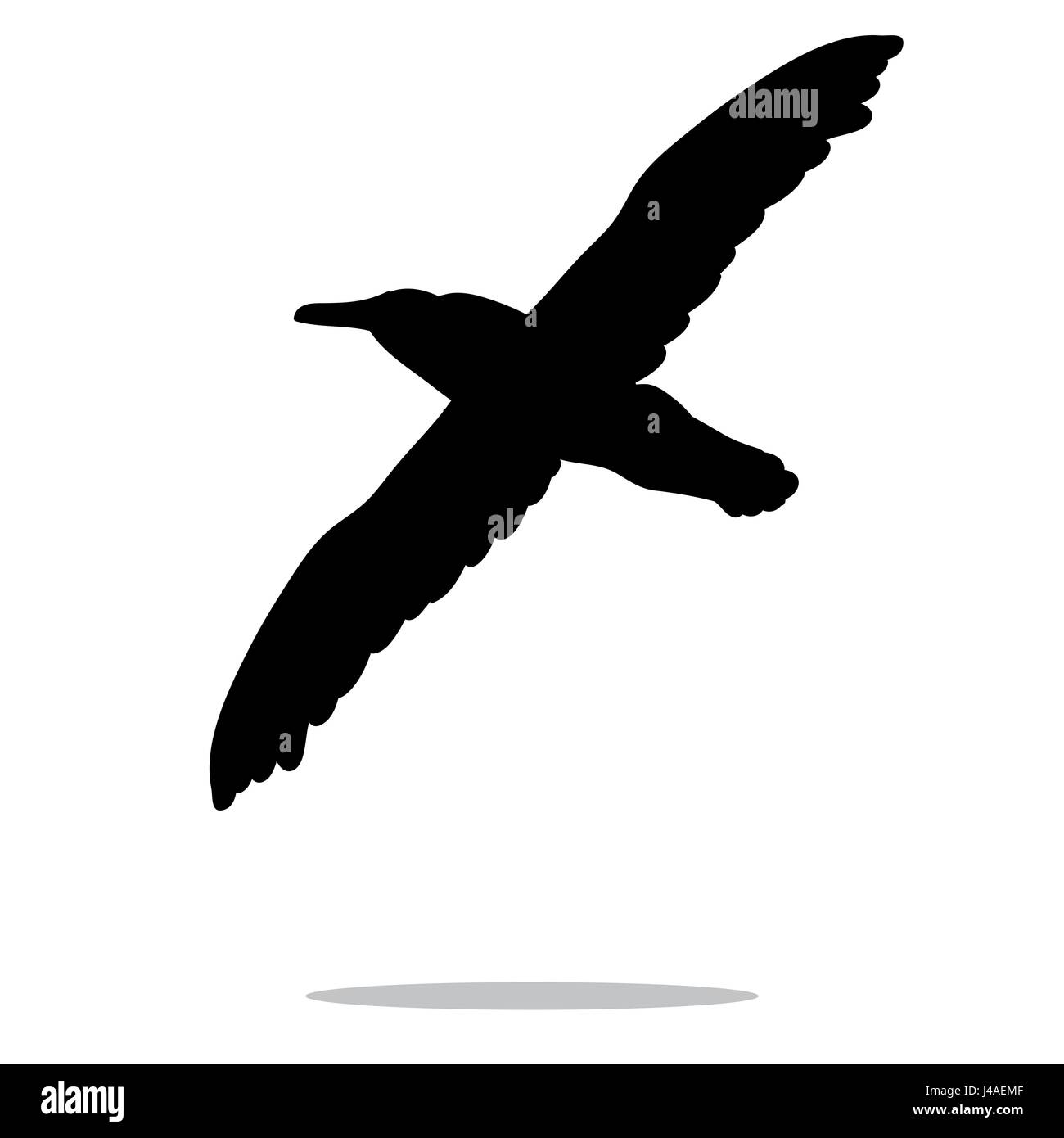 Oiseau mouette silhouette noire animal Illustration de Vecteur