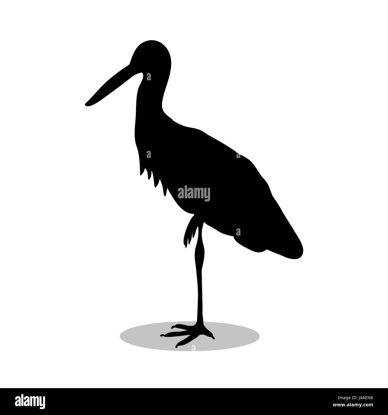 Oiseau Heron animal silhouette noire Illustration de Vecteur