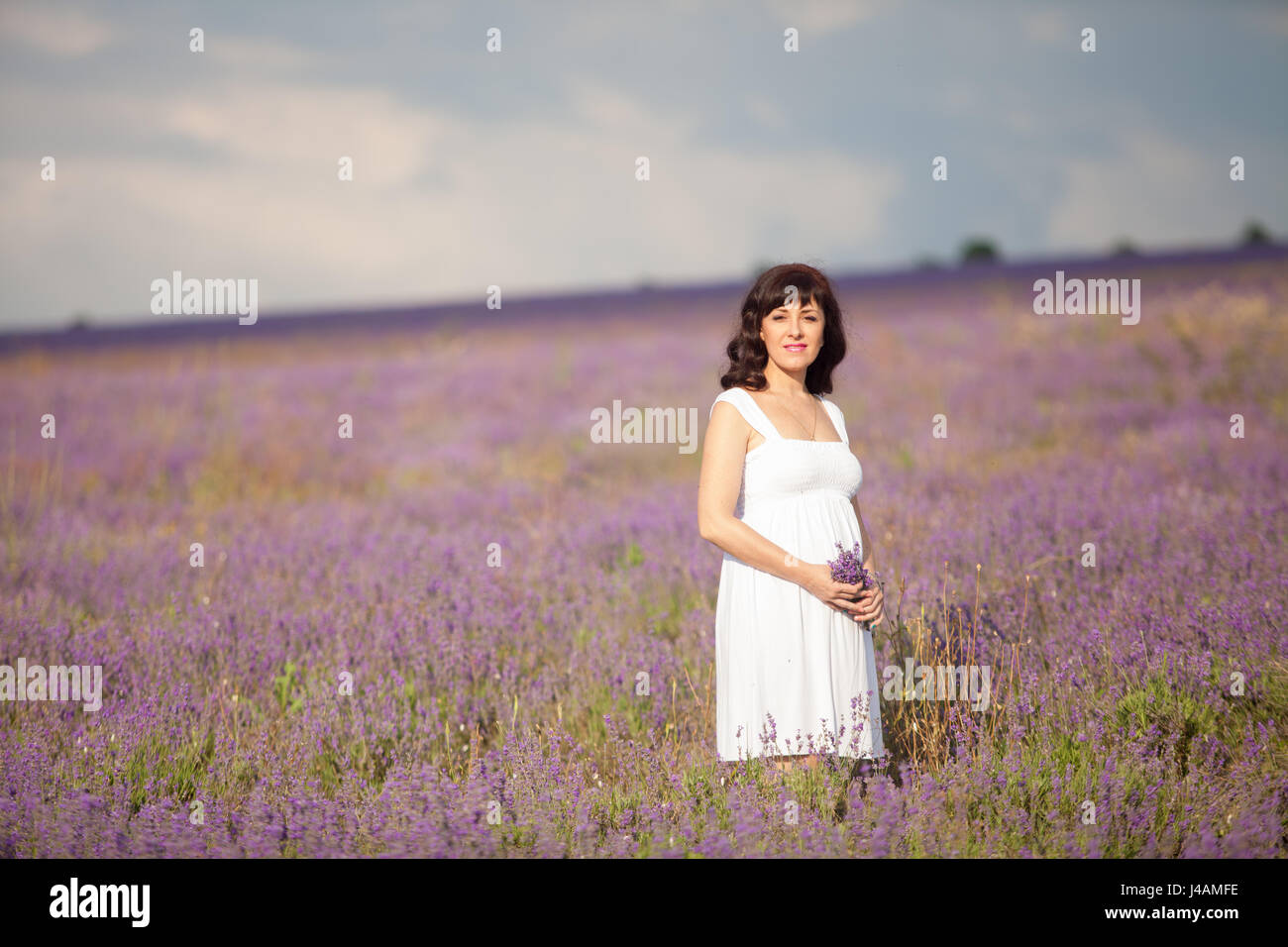 Une femme enceinte dans un champ de fleurs de mauve lavande Photo Stock -  Alamy