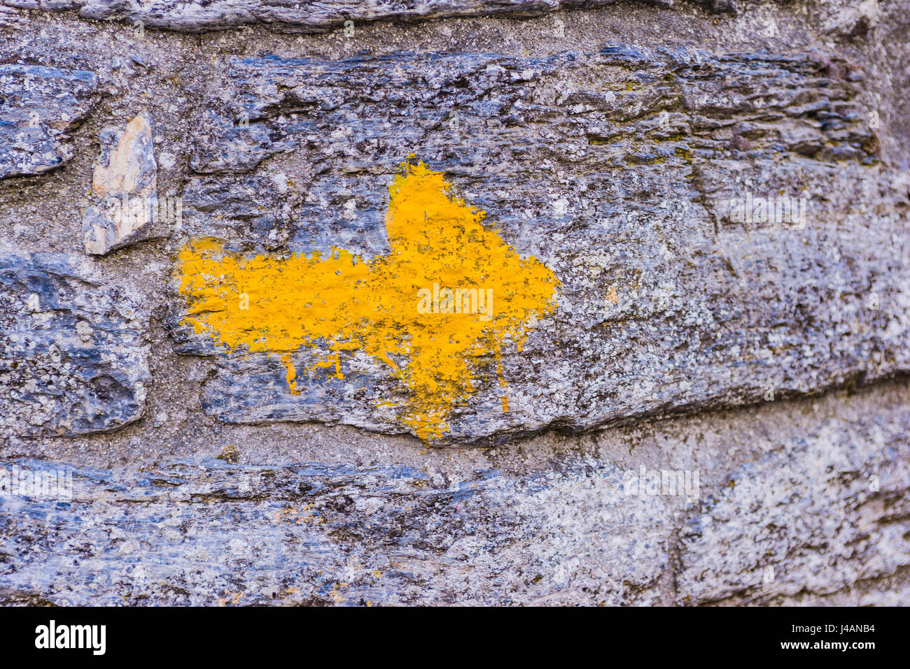 Flèche jaune signe, Chemin de St-Jacques. O Cebreiro, Pedrafita do Cebreiro, Lugo, Galice, Espagne, Europe Banque D'Images