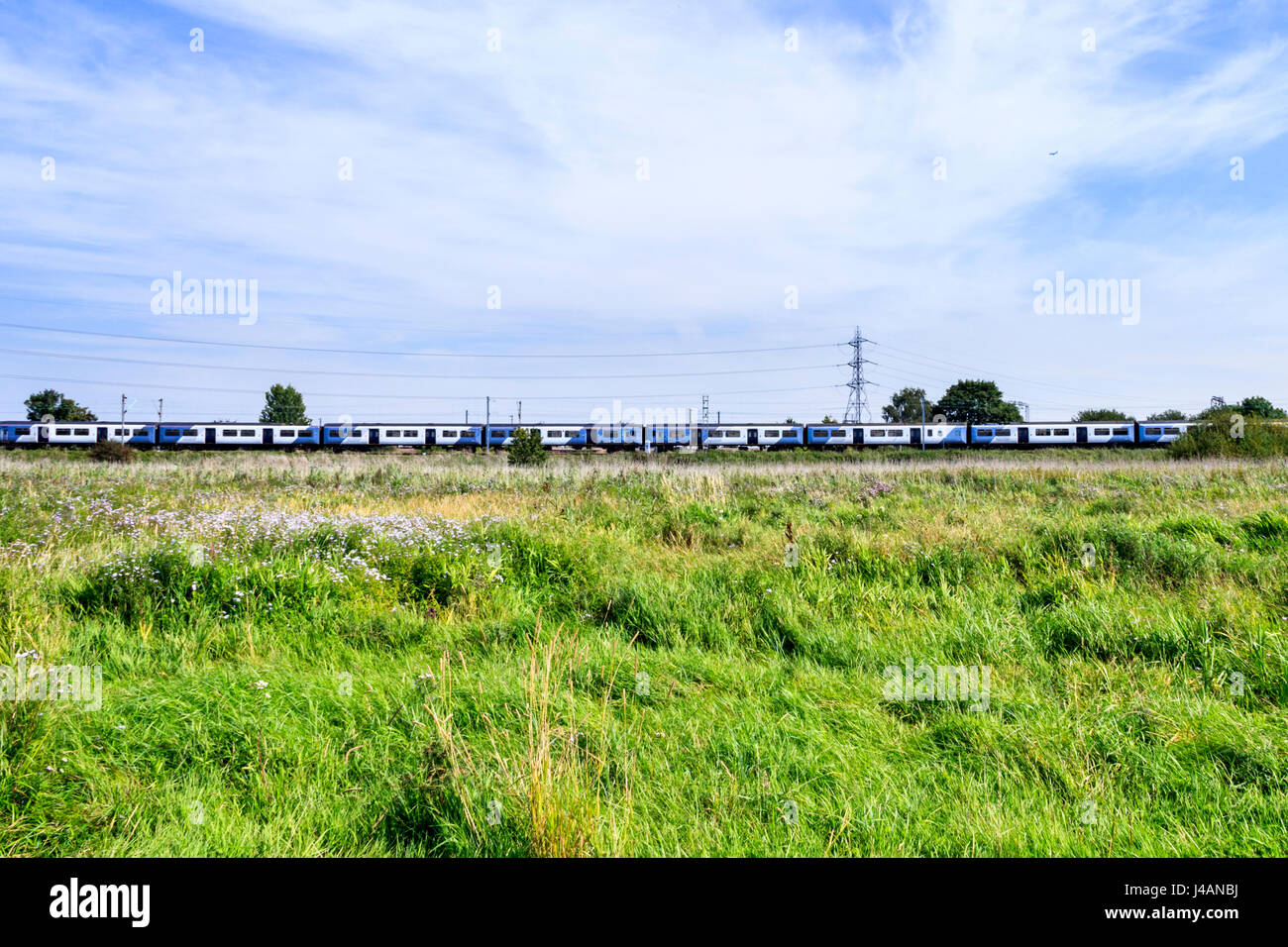 Une prairie herbeuse de fleurs sauvages sur les Walthamstow Marshes, Londres, Royaume-Uni, un long train sur la ligne de chemin de fer au loin Banque D'Images