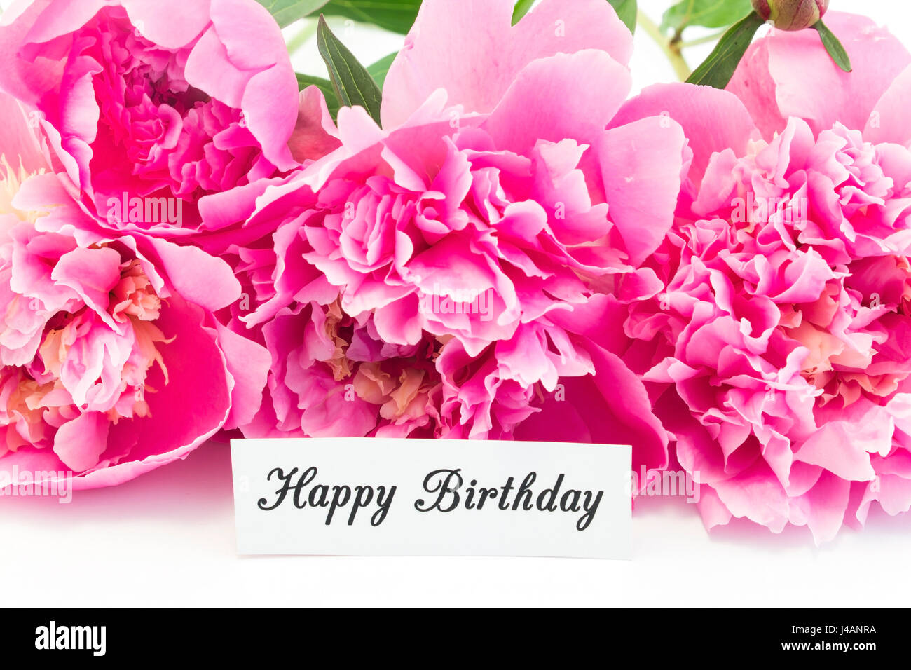 Joyeux Anniversaire Carte Avec Bouquet De Pivoines Rose Sur Fond Blanc Photo Stock Alamy