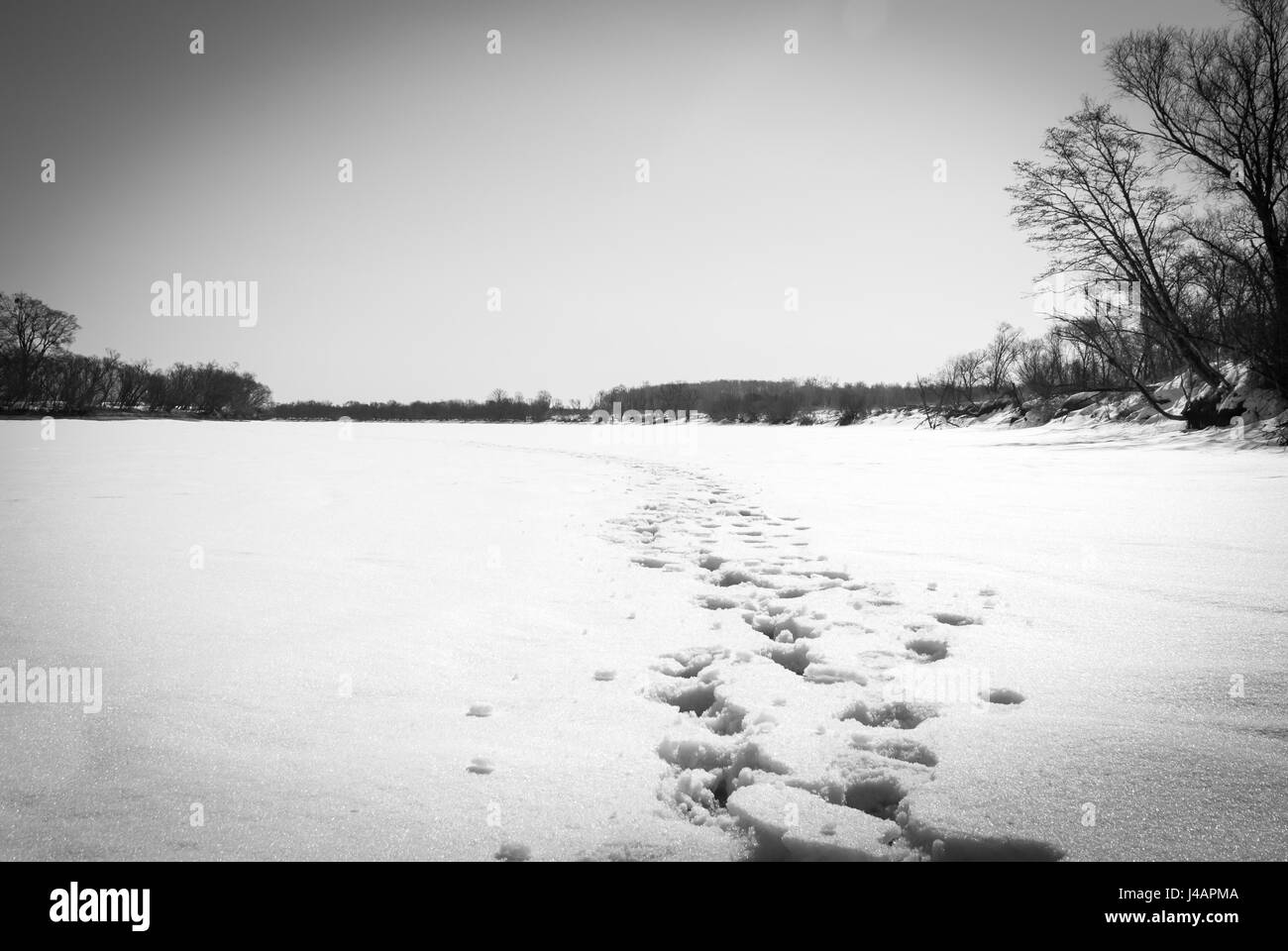 Rivière en hiver. Des traces de pas dans la neige. Banque D'Images