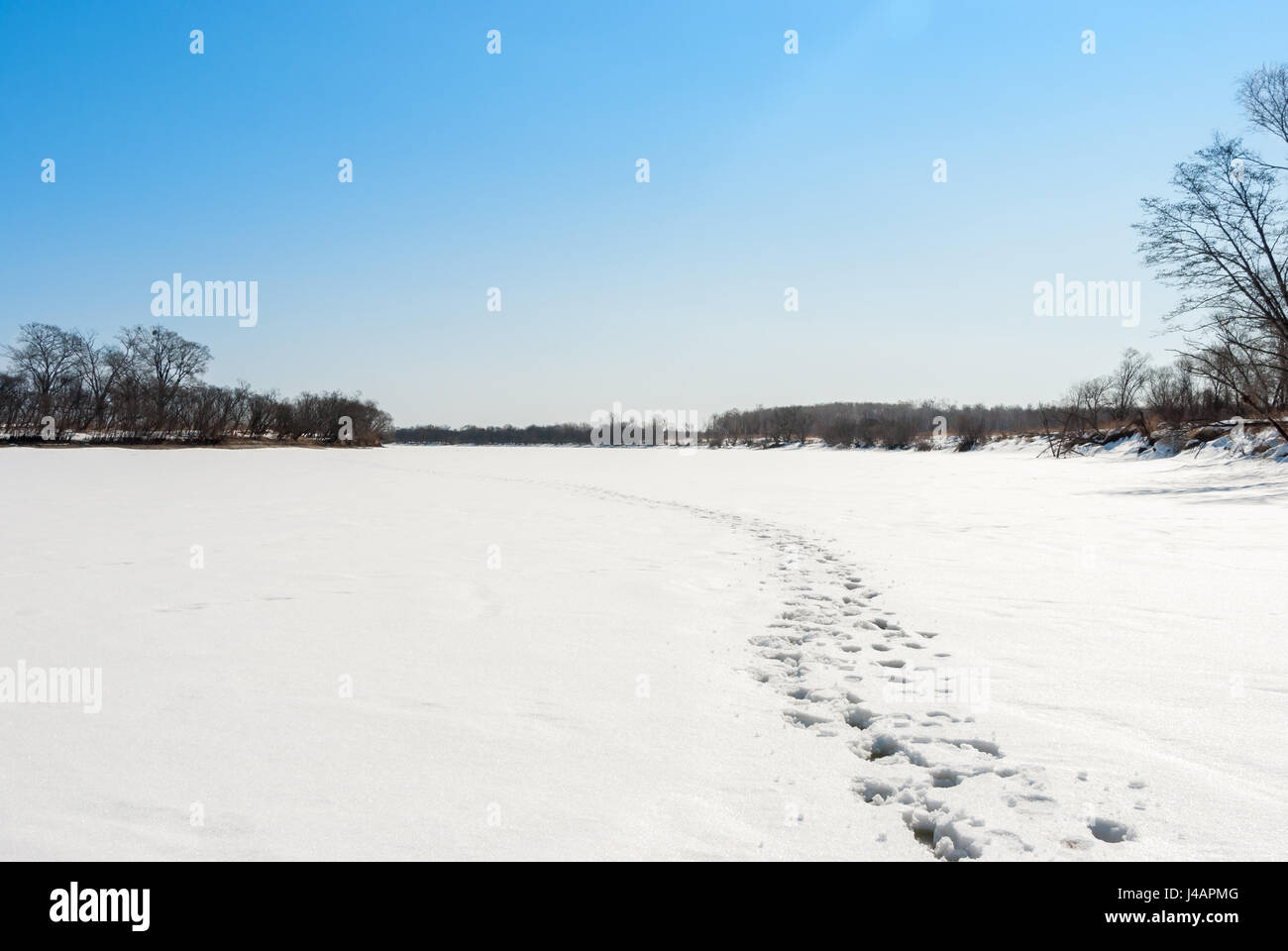 Rivière en hiver. Des traces de pas dans la neige. Banque D'Images