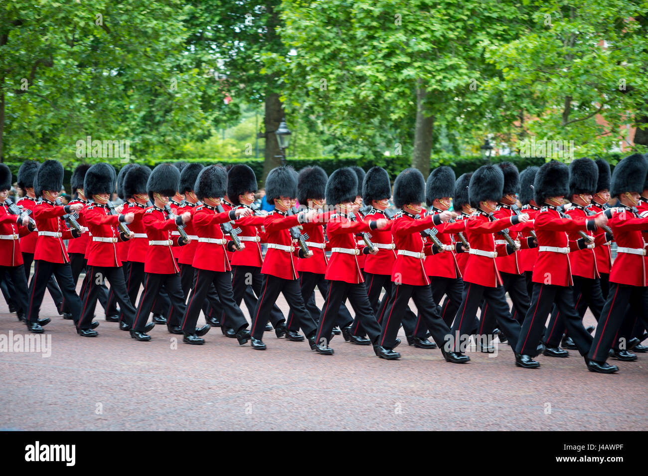 Londres - le 20 novembre 2016 : la garde royale dans les tuniques rouges et portent des chapeaux de fourrure busby marcher en formation sur le Mall dans une parade la couleur. Banque D'Images