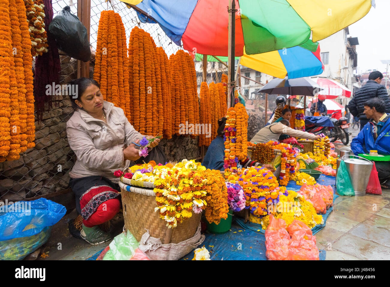 La préparation d'une vendeuse de fleurs collier. Katmandou, Népal. Banque D'Images