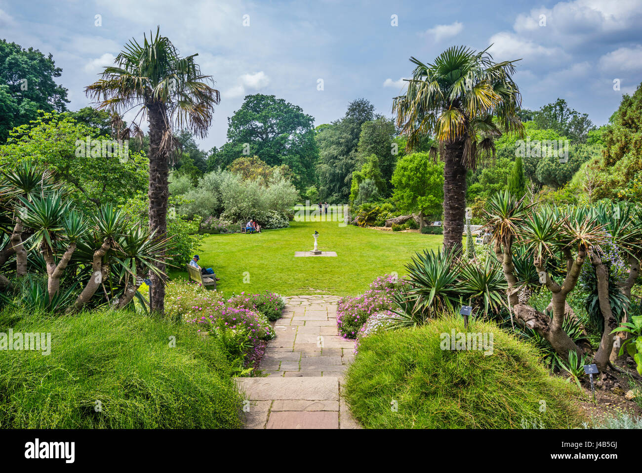 Royaume-uni, Angleterre, Kew Gardens dans le London Borough of Richmond upon Thames, vue sur le jardin méditerranéen Banque D'Images