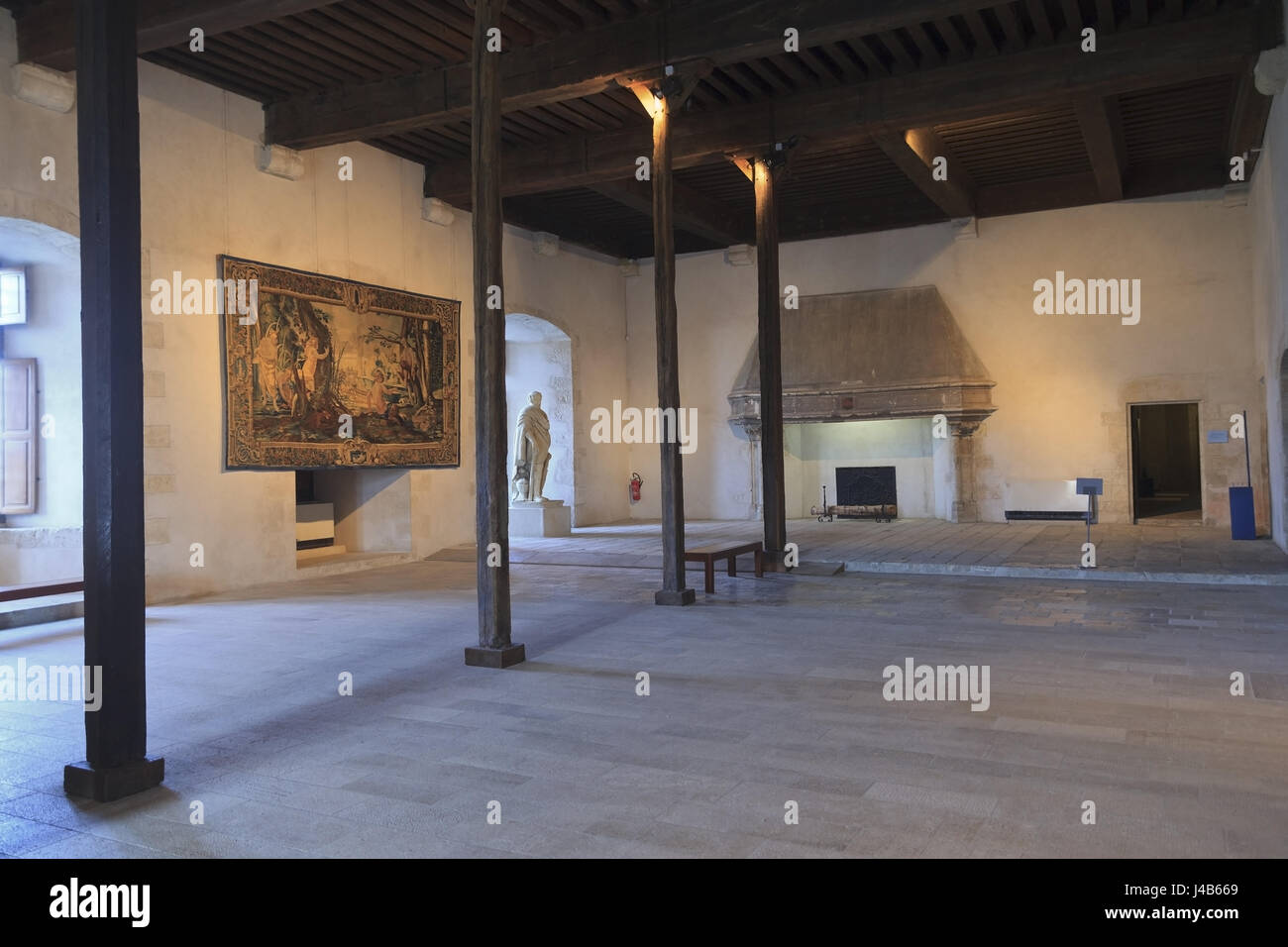 La grande salle basse de Château de Sully, vallée de la Loire, France Banque D'Images