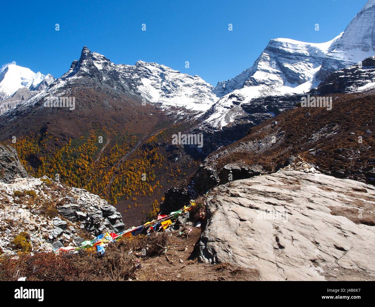 L'automne à la Réserve Naturelle de Yading dans Daocheng County, Chine Banque D'Images