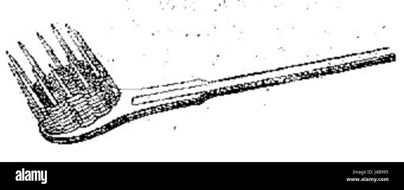 Pommon Obstbrecher désigne un outil agricole utilisé dans la culture fruitière, en particulier pour briser ou récolter certaines cultures. C'est un dispositif utile pour gérer l'entretien et la récolte des vergers. Banque D'Images