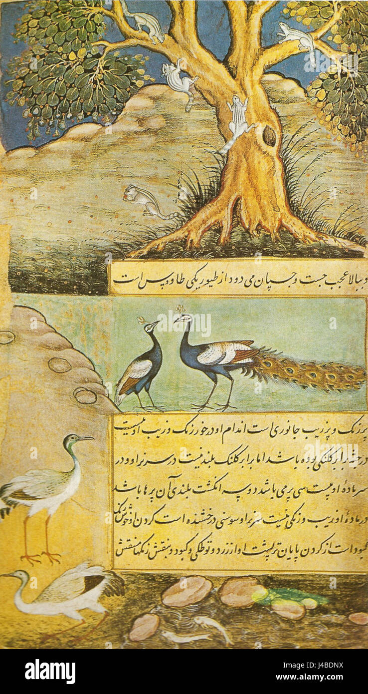 Le Baburnama est le mémoire de l'empereur moghol Babur, et le peafowl représenté à l'intérieur est un symbole de la richesse impériale et de la nature dans l'Inde moghole. Le texte donne un aperçu de la vie de Baburâ€™et de son appréciation de la nature et de la nature Banque D'Images