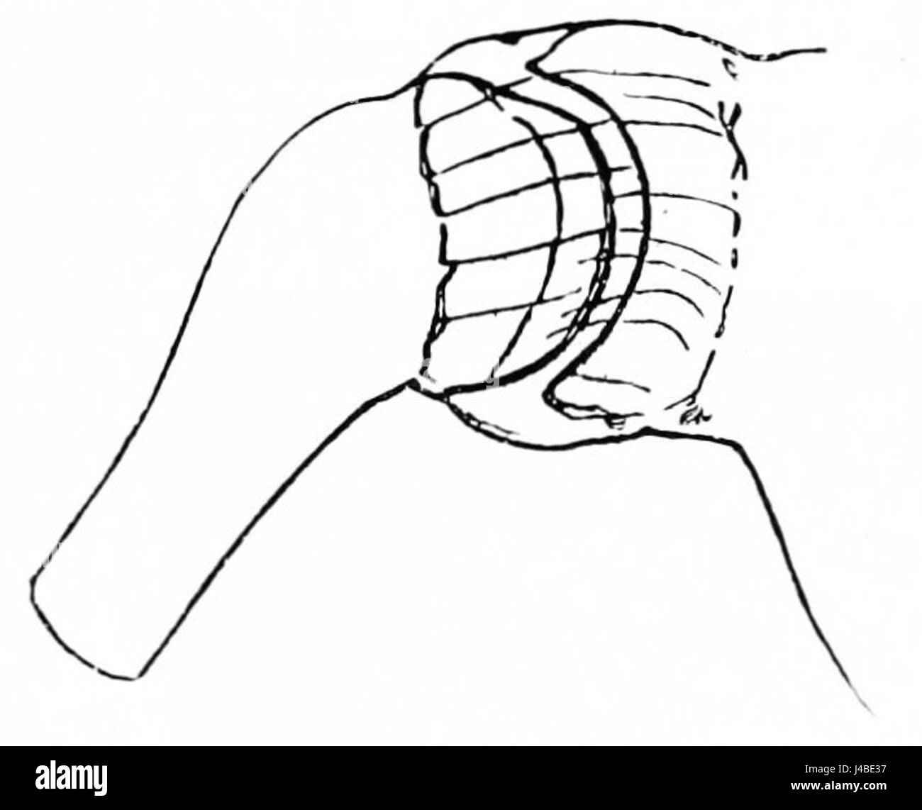 Le diagramme de PSM V42 D776 illustre l'articulation de l'épaule humaine, montrant sa structure anatomique. Il met en évidence les parties clés de l'épaule, y compris les os, les ligaments et les muscles. Banque D'Images