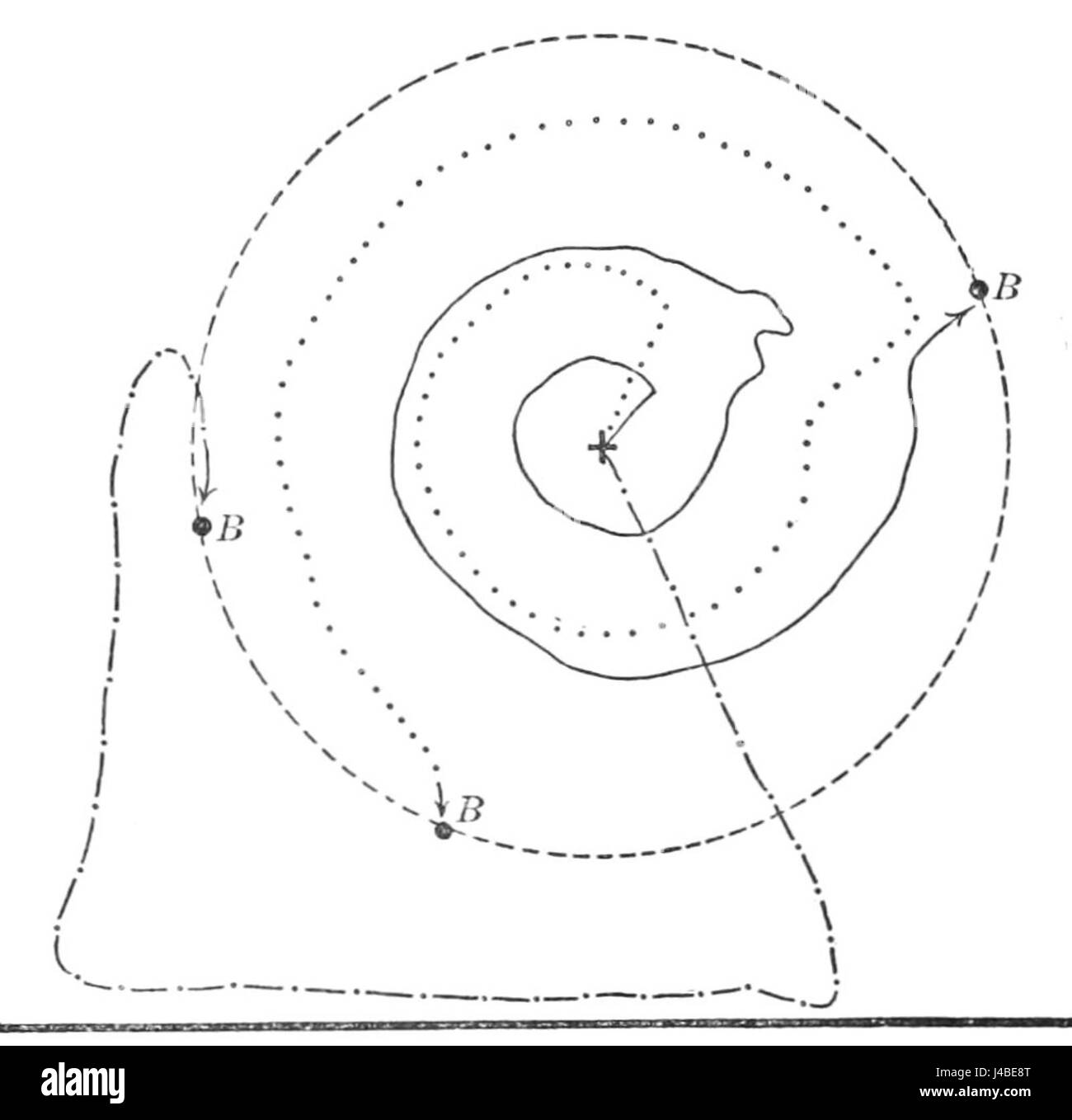 Cette étude de PSM V44 D789 étudie les schémas de recherche des pigeons homogènes. Il explore comment les pigeons naviguent et rentrent chez eux en utilisant divers indices environnementaux, éclairant leur comportement naturel et leurs capacités de navigation. Banque D'Images Cette étude de PSM V44 D789 étudie les schémas de recherche des pigeons homogènes. Il explore comment les pigeons naviguent et rentrent chez eux en utilisant divers indices environnementaux, éclairant leur comportement naturel et leurs capacités de navigation. Banque D'Images