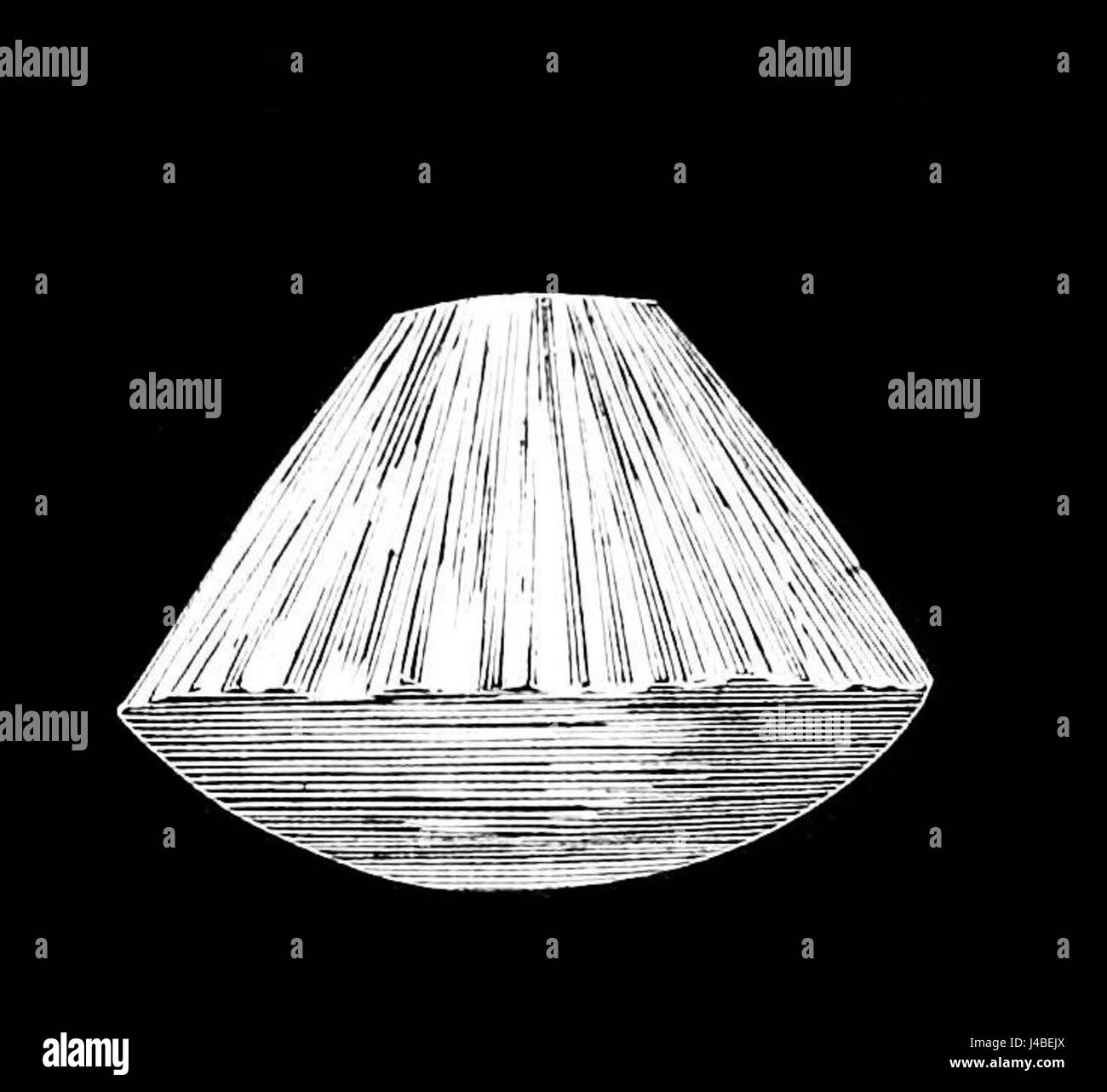 Il s'agit probablement d'une référence à un article ou à une étude, en particulier dans le *Popular Science Monthly*, volume 10, traitant du phénomène des grêles brisées et de leur examen scientifique ou de leur impact. Banque D'Images