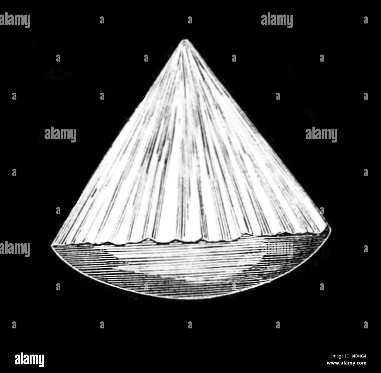 Cette image capture une grêle parfaite, un phénomène météorologique naturel qui se forme dans des conditions atmosphériques spécifiques. Les grêles sont des granules de glace qui se développent lors des orages et qui peuvent varier considérablement en taille et en forme. Banque D'Images