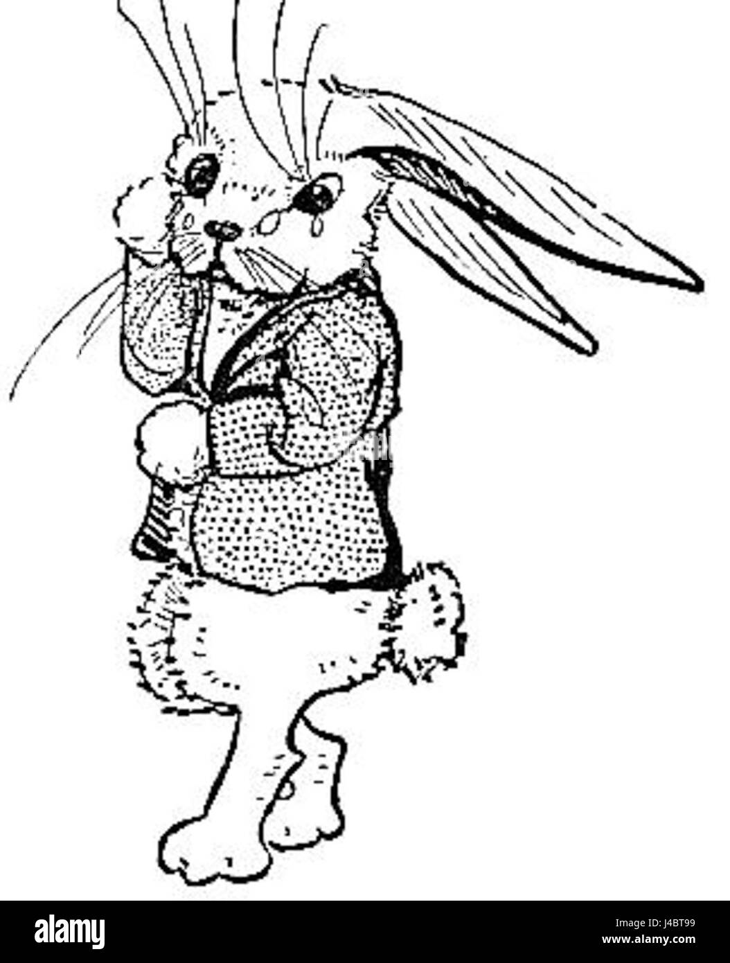 Le titre 'Peter Rabbit and His ma' fait référence aux personnages bien-aimés de la série de Beatrix Potter. L'histoire dépeint Peter Rabbit et sa mère dans un conte d'aventure et de malice dans un cadre rural anglais. Banque D'Images