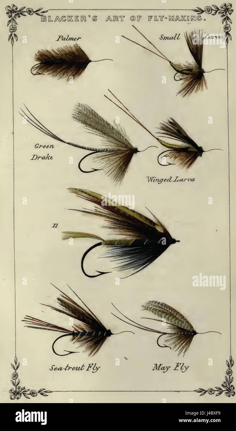 Planche 14 Blackers Assiette de larves et Drakes vert Banque D'Images