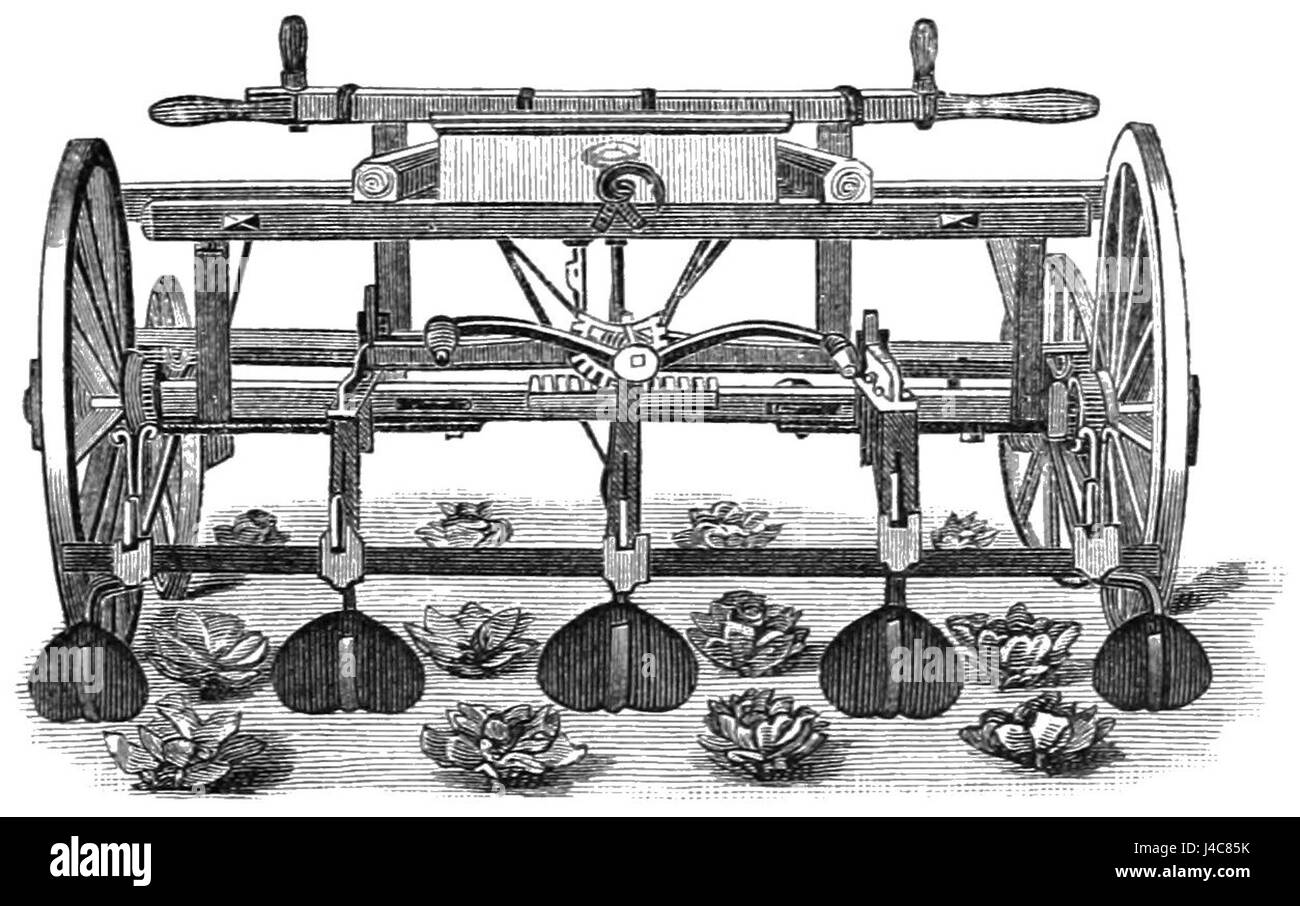 Le cultivateur de betteraves avec un accessoire couvrant les racines, représenté dans PSM V35 D217, représente un outil agricole important conçu pour cultiver efficacement les betteraves tout en protégeant le système racinaire. Ces outils ont joué un rôle déterminant dans les pratiques agricoles modernes. Banque D'Images