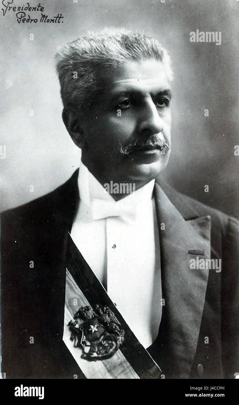 Pedro Montt (récolte) Banque D'Images