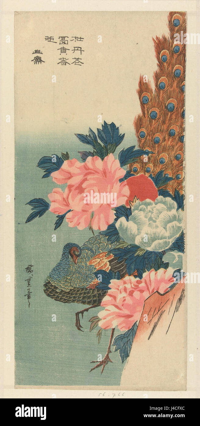 Cette œuvre d'art, 'Pauw en pioenrozen', tenue au Rijksmuseum, présente un paon et des pivoines, combinant beauté naturelle et beaux-arts dans une composition détaillée. Banque D'Images