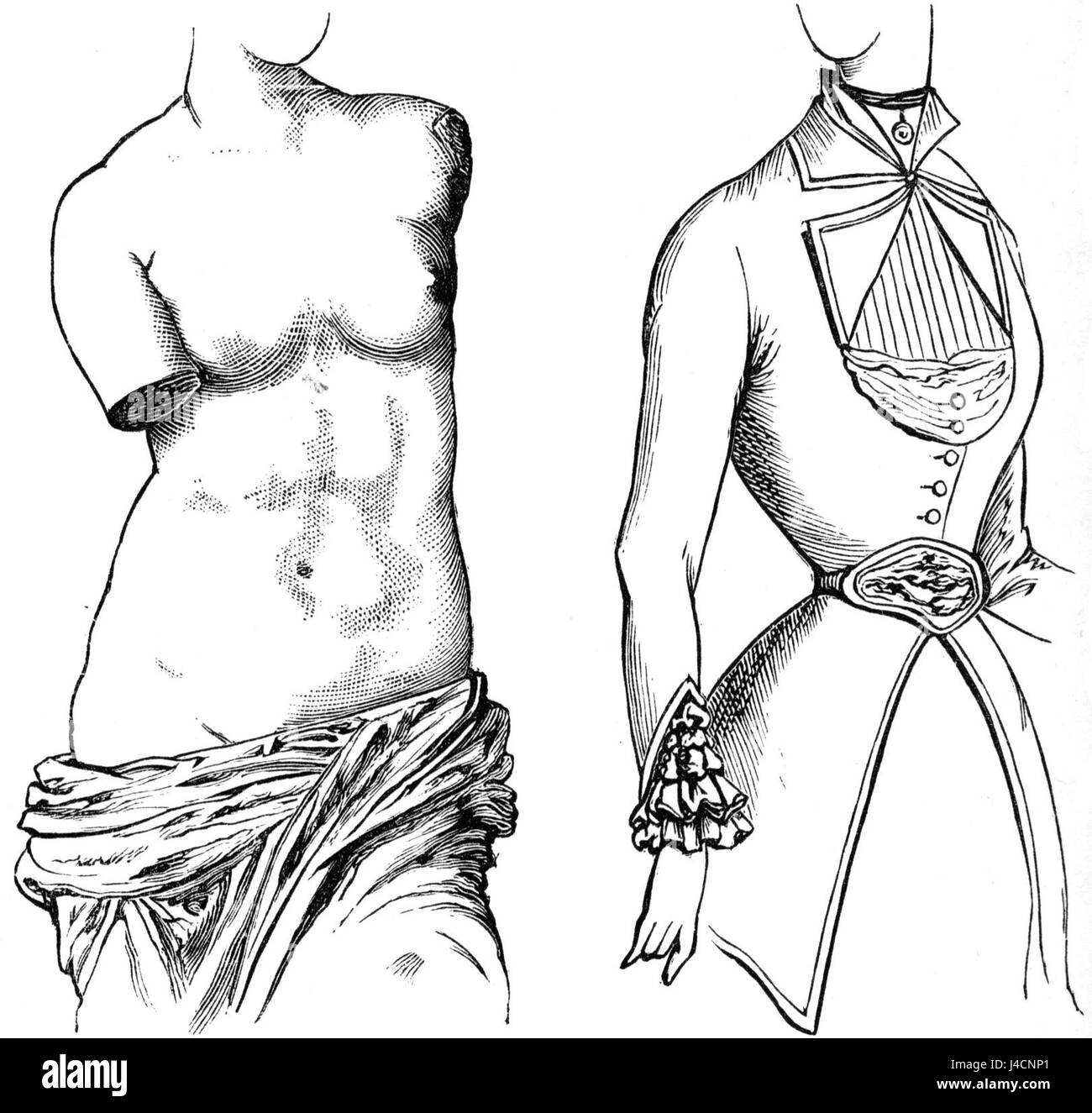 PSM V17 D761 la mode européenne et la forme du corps naturel Banque D'Images
