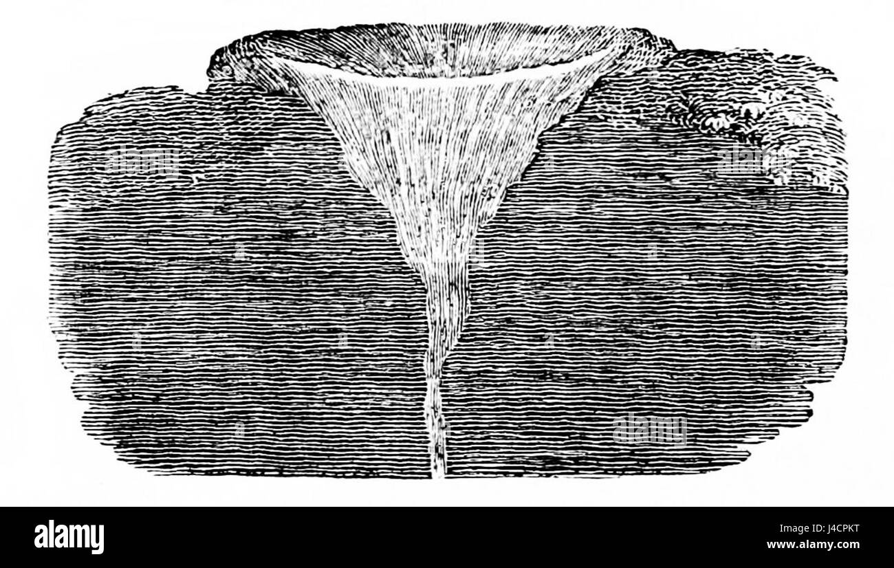 PSM V02 D536 sections creuses circulaires Banque D'Images