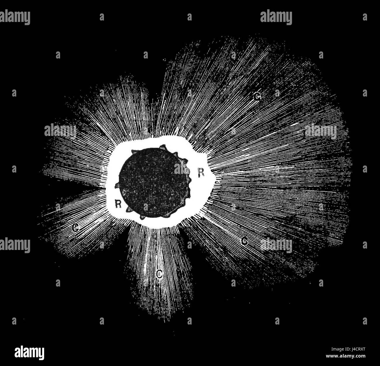 Cette image représente probablement une illustration scientifique d'une couronne solaire, qui est la couche la plus externe de l'atmosphère du Sunâ€™s. Il est souvent visible lors d'une éclipse solaire et joue un rôle clé dans les phénomènes solaires et les études du Soleil. Banque D'Images