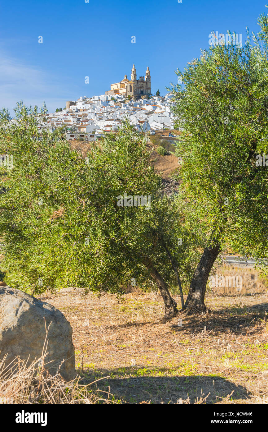 Olvera, les villages blancs d'Andalousie, province de Cadix, Espagne Banque D'Images