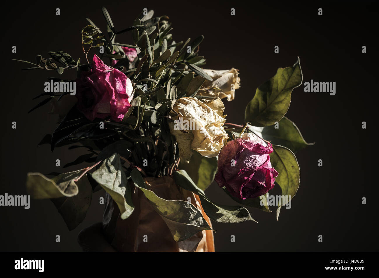Bouquet de roses blanches et rouges séchés, gros plan photo clé faible sur fond sombre, soft focus sélectif Banque D'Images